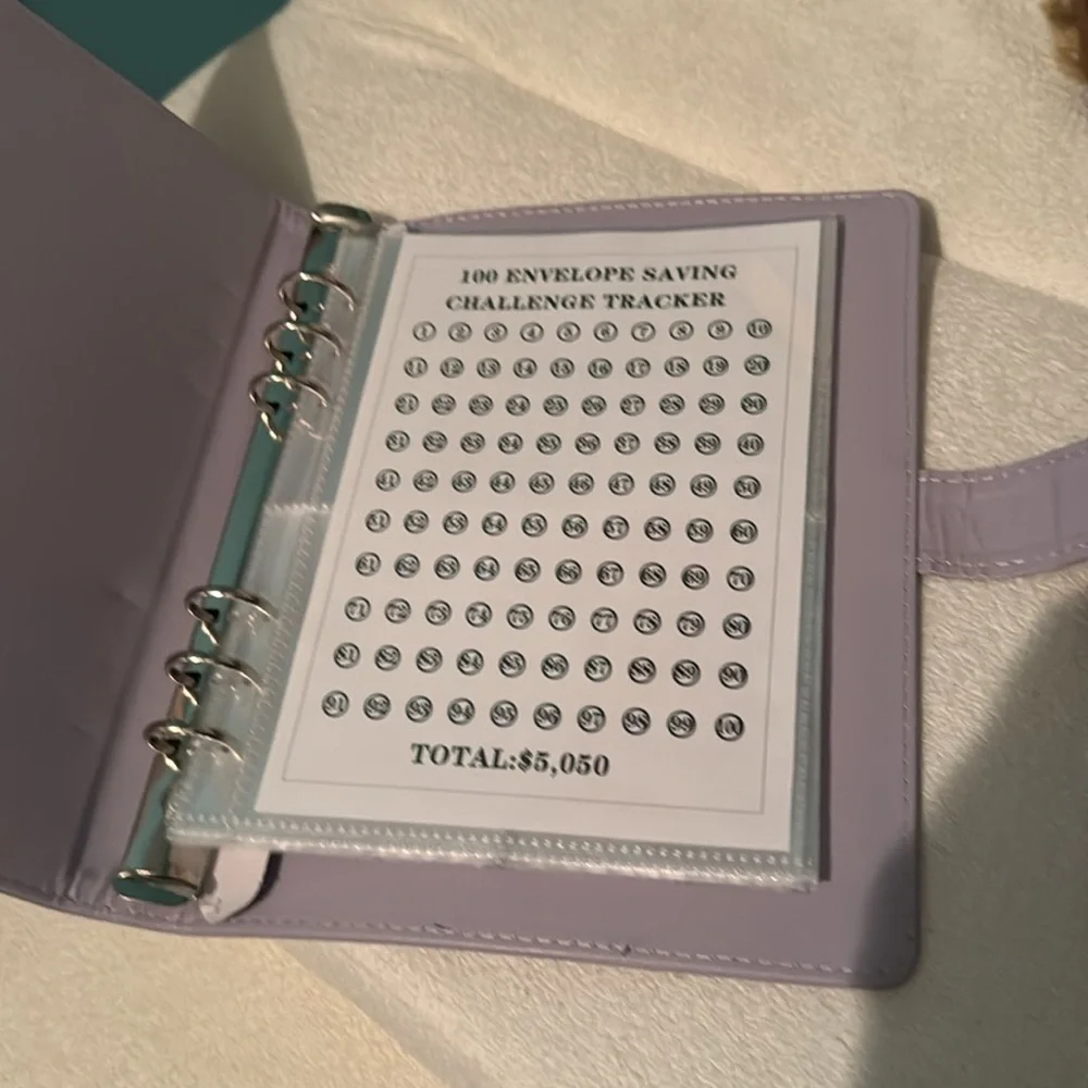 100 Envelope savings challenge book